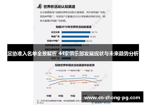 足协准入名单全景解析 44家俱乐部发展现状与未来趋势分析