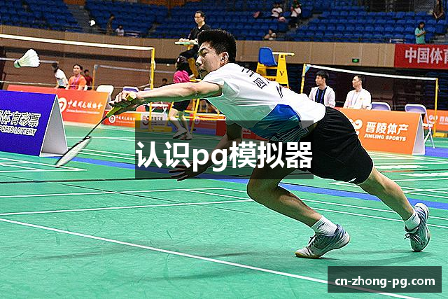 认识pg模拟器